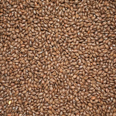 roasted malted barley